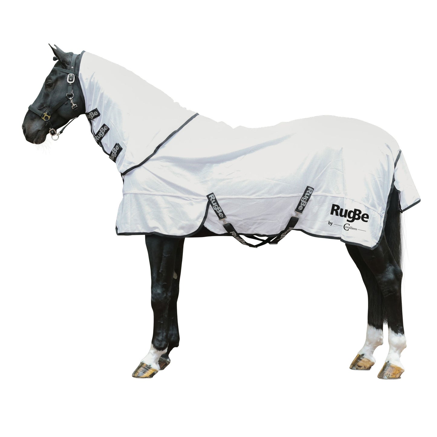 Fliegendecke RugBe SuperFly