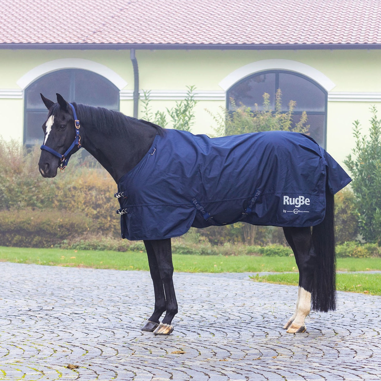 Winterdecke RugBe IceProtect 300g