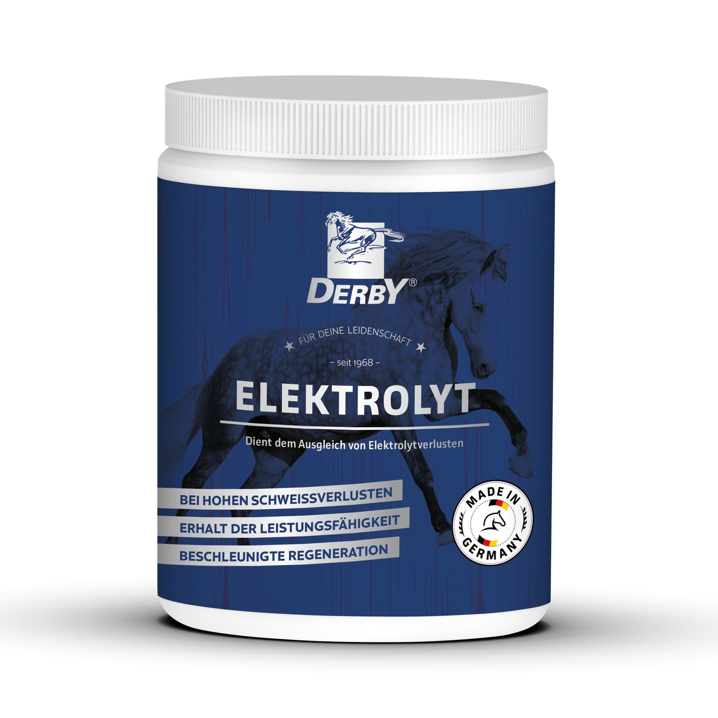 Derby Elektrolyt 1kg