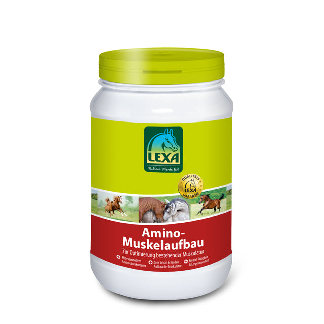 Lexa Amino-Muskelaufbau