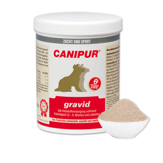 CANIPUR gravid
