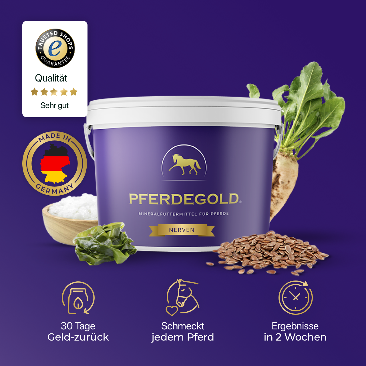 Pferdegold Nerven