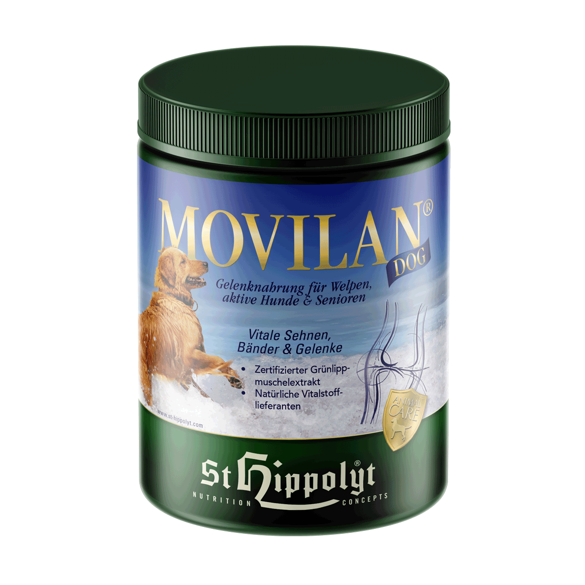 St.Hippolyt Movilan Dog