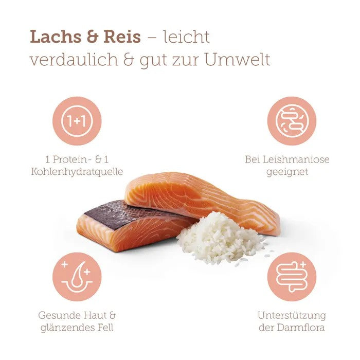 mera pure sensitive Lachs & Reis