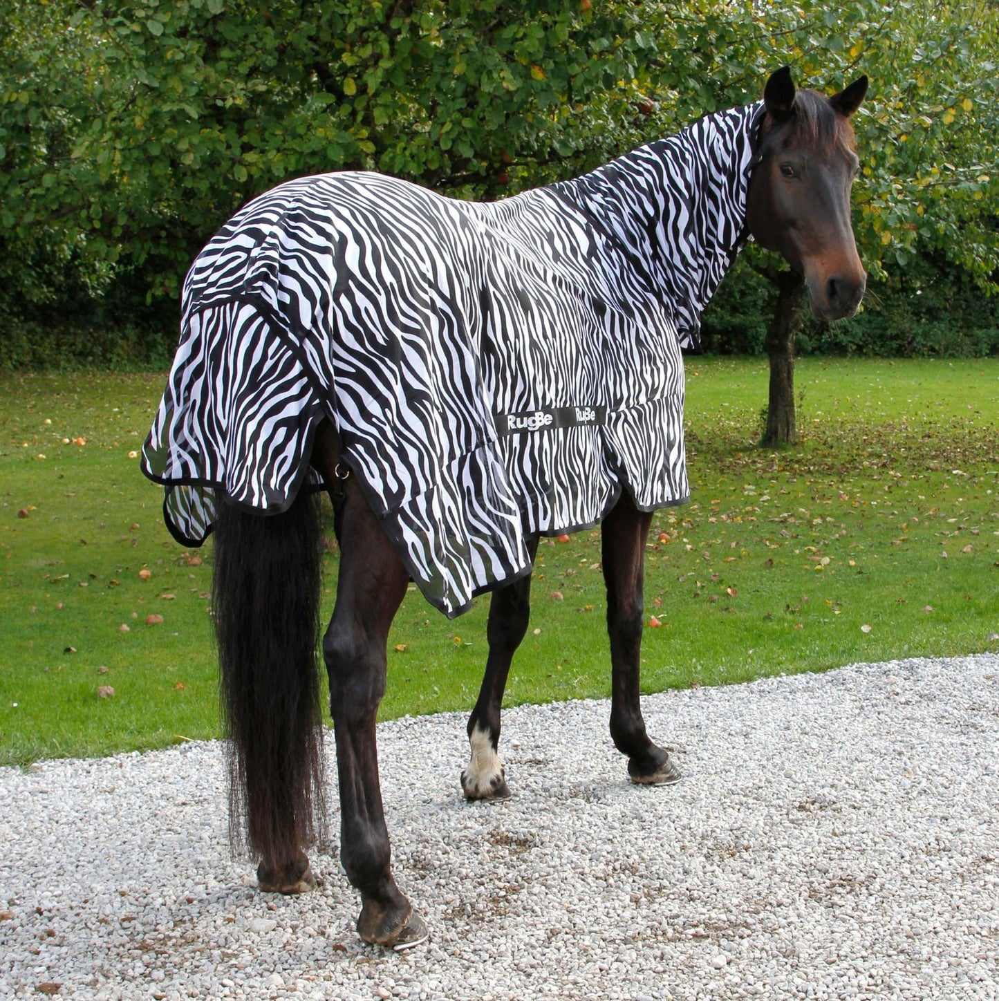 Fliegendecke RugBe Zebra