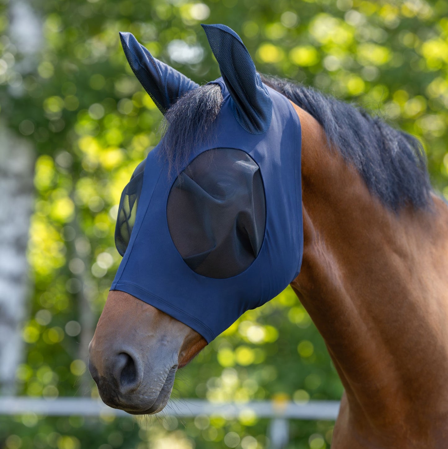 Covalliero Fliegenschutzmaske FinoStretch