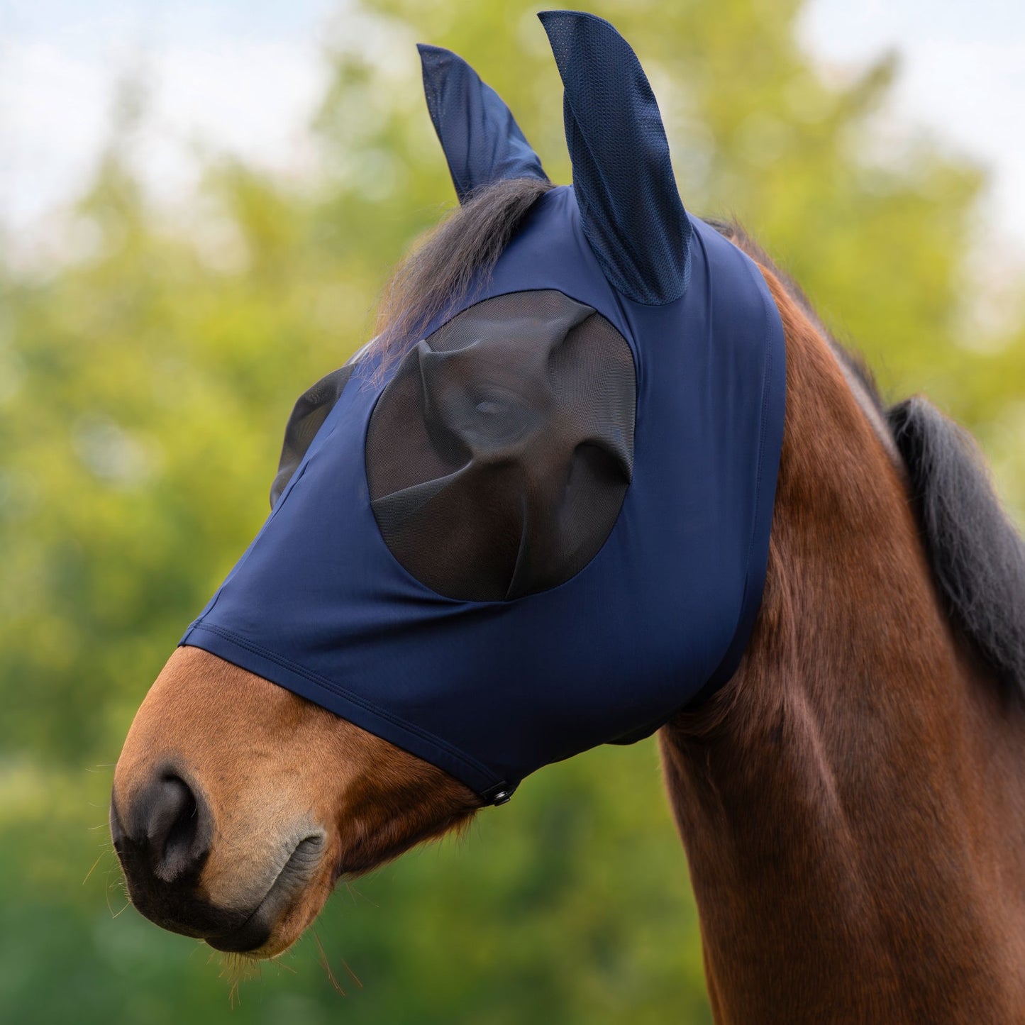 Covalliero Fliegenschutzmaske FinoStretch Zipper