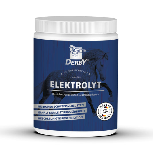 Derby Elektrolyt 1kg