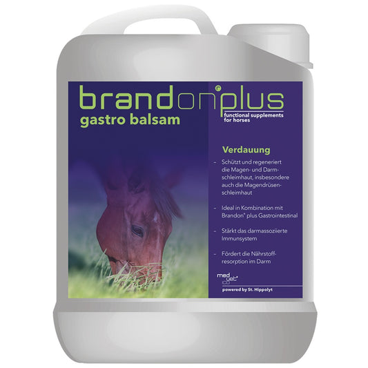 St.Hippolyt Brandon plus gastro balsam 2,5l