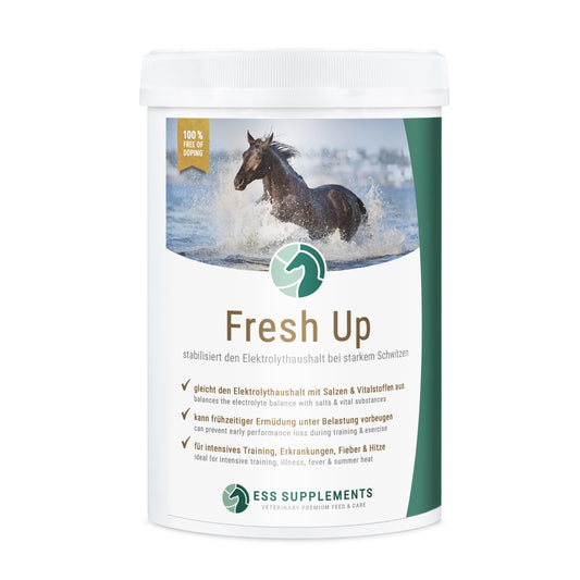 ESS Fresh Up 1kg