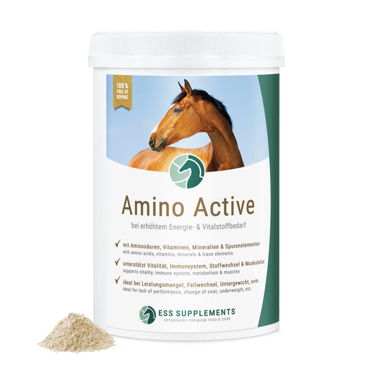 ESS Amino Active 1kg