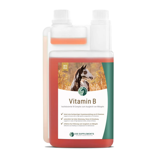ESS Vitamin B 1l
