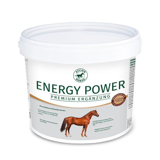 ATCOM ENERGY POWER