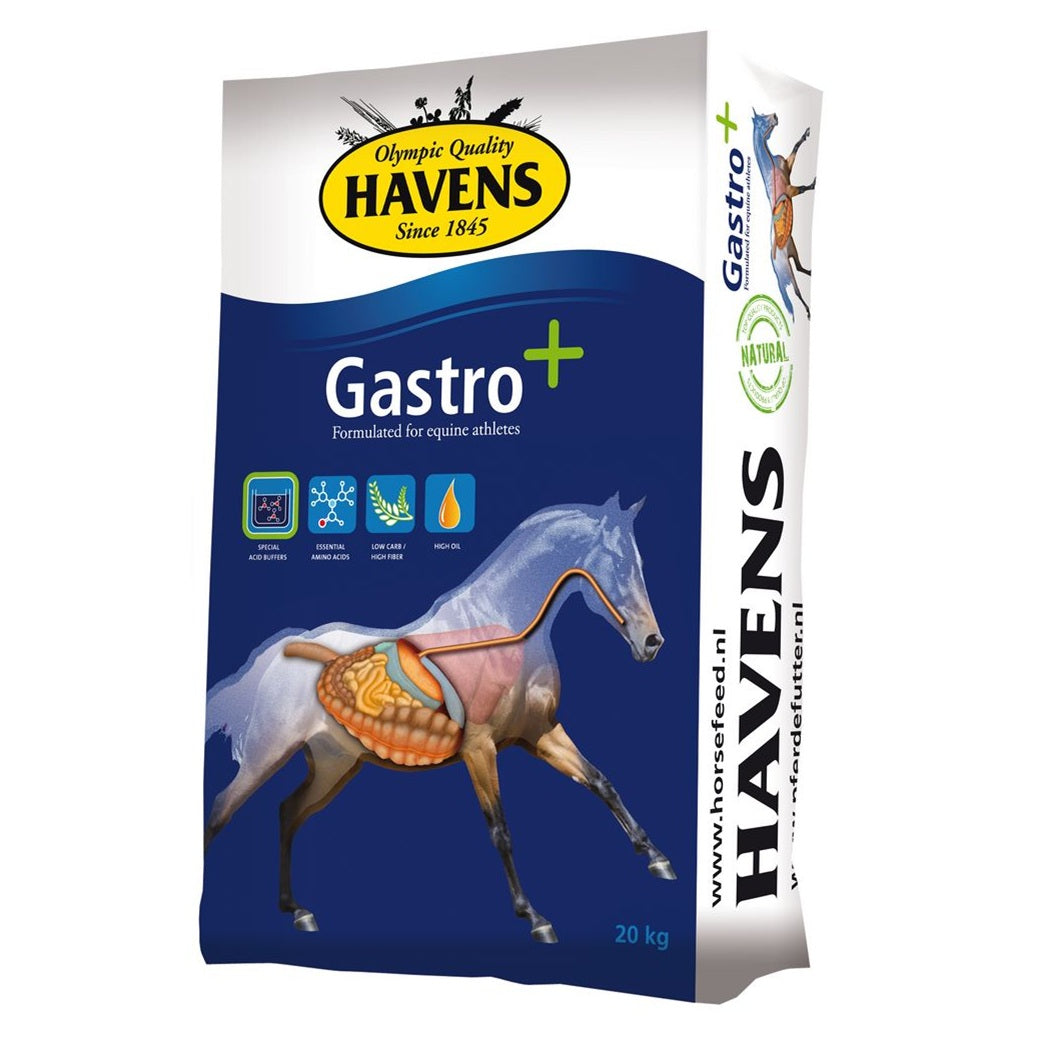 Havens Gastro+ 20kg