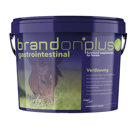 St.Hippolyt Brandon plus gastrointestinal 3kg