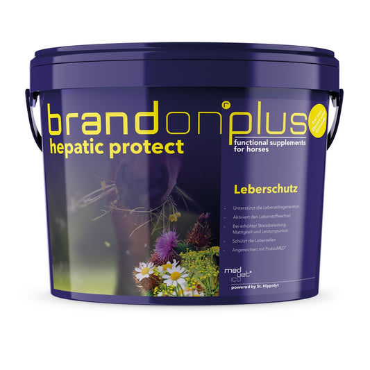 St.Hippolyt Brandon plus hepatic protect