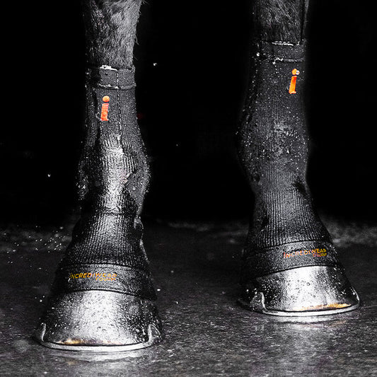 ESS Incrediwear Equine Hoof Socks