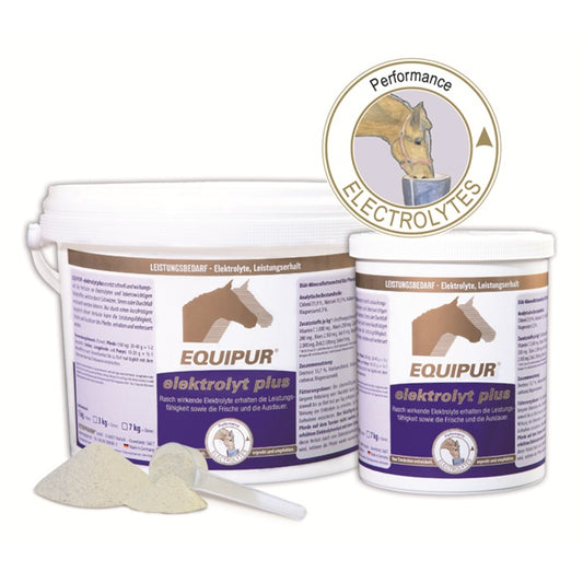 EQUIPUR elektrolyt plus