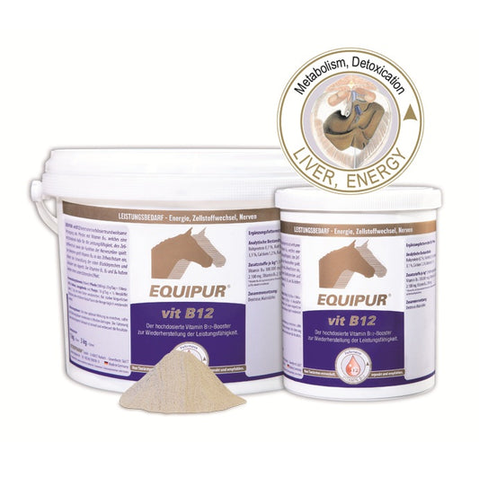 EQUIPUR vit B12