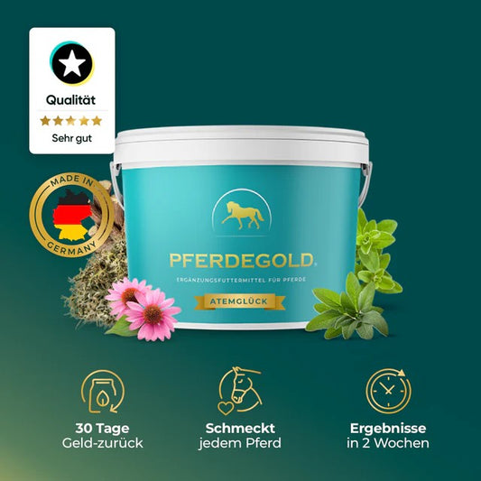 Pferdegold Atemglück