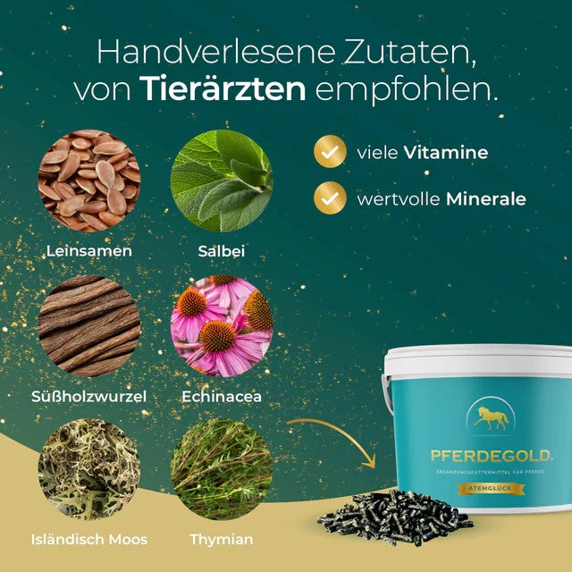 Pferdegold Atemglück