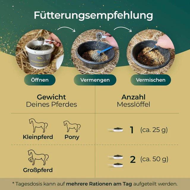 Pferdegold Atemglück