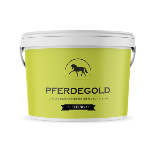 Pferdegold Elektrolyte