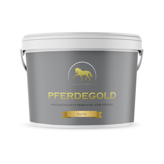 Pferdegold Hufe