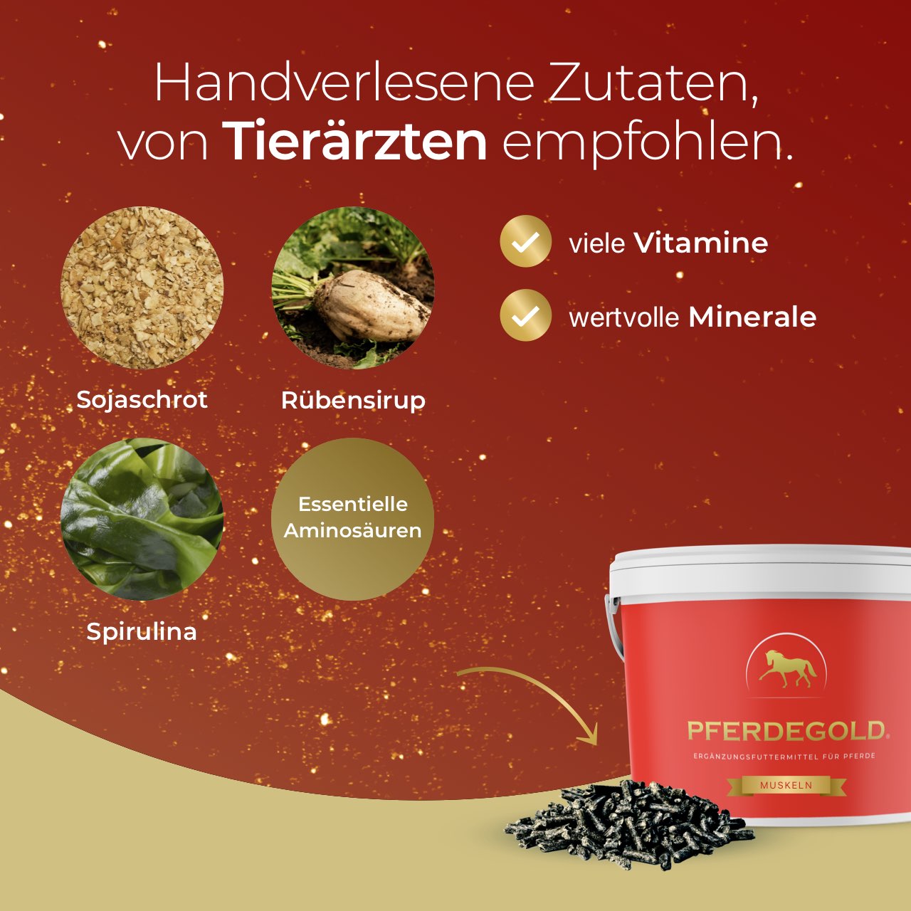 Pferdegold Muskel
