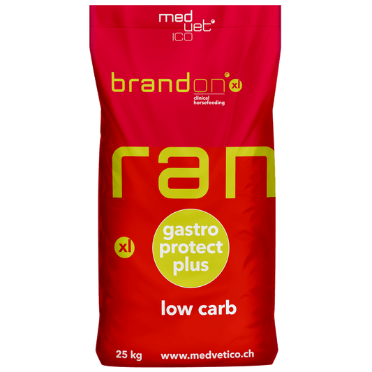 St.Hippolyt Brandon XL Getreidefrei 25kg