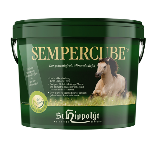 St.Hippolyt Sempercube