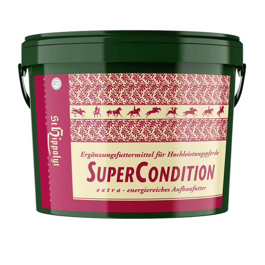 St.Hippolyt Super Condition