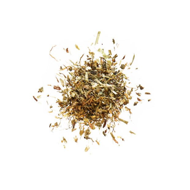 Agrobs S. Testudo Baby 300g