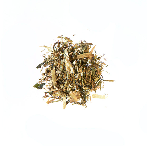 Agrobs S. Testudo Fibre 250g