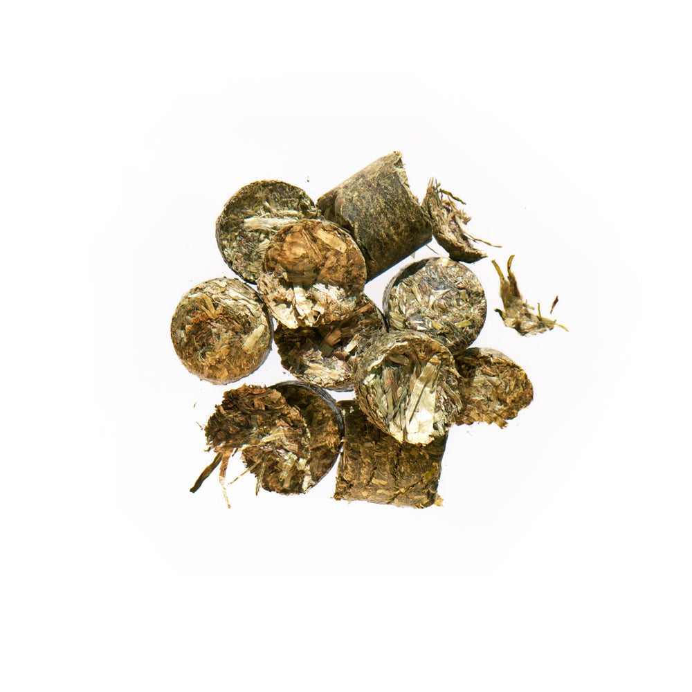 Agrobs S. Testudo Original