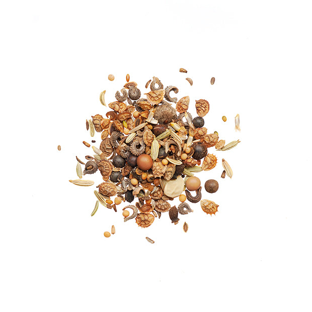 Agrobs S. Testudo Saatgut 100g