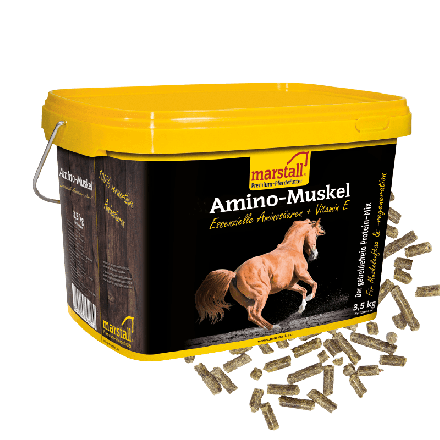 Marstall Amino-Muskel