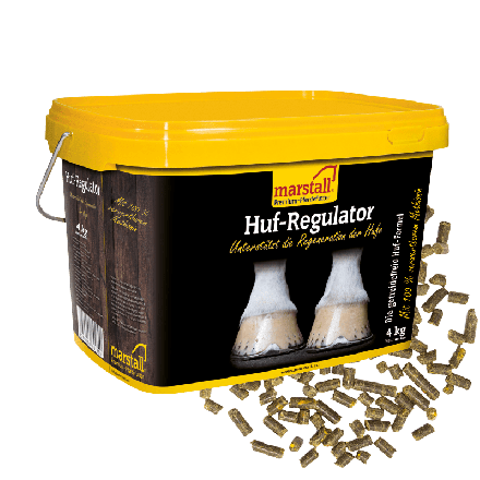 Marstall Huf-Regulator