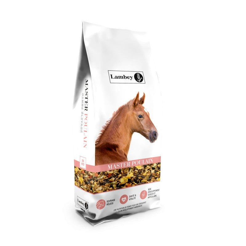Lambey Master Poulain 20kg