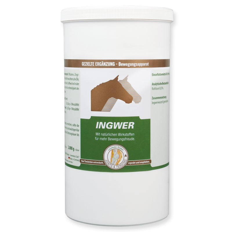 VETRIPHARM Ingwer