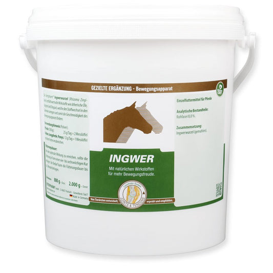 VETRIPHARM Ingwer