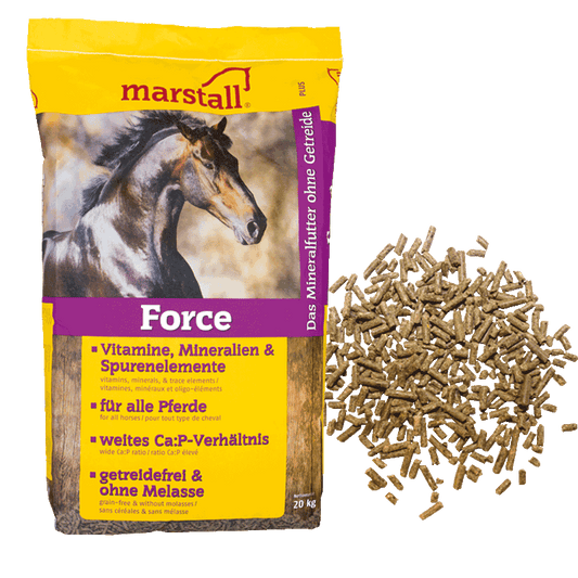Marstall Force